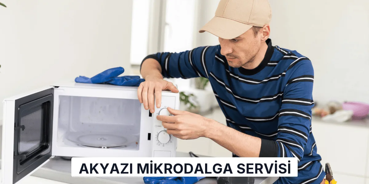 Akyazı Mikrodalga Servisi